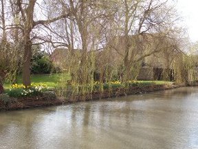 canal-side garden