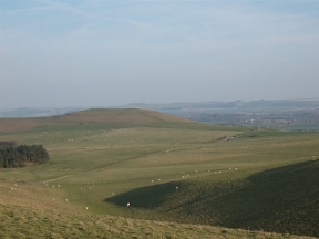 descending milk hill