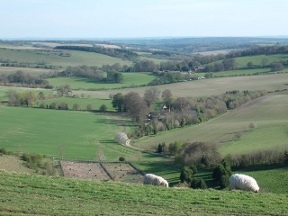 looking south along the test way