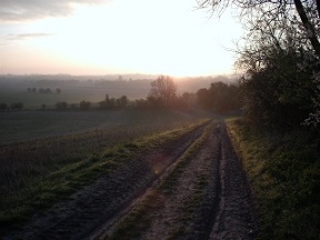 approaching kingsclere