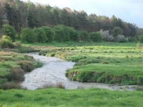 chalk stream