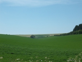 approaching the downs
