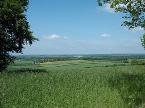 looking north along the wayfarer