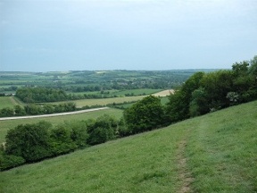 descending beacon hill