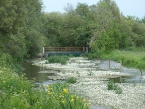 meon river