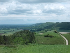 view from beacon hill