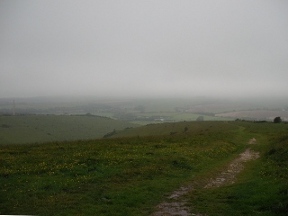 on beeding hill