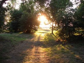 evening near stowting