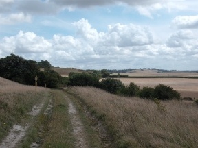 looking back from the memorial