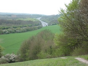 distant view of the m25