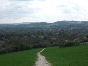 the path to merstham