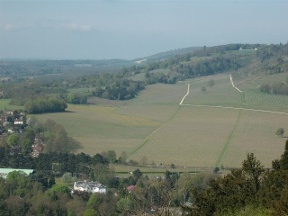 box hill looking west