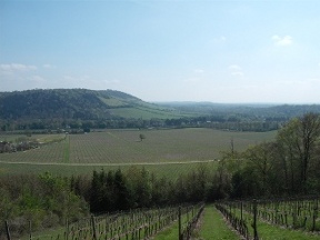 looking back to box hill