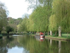 river wey