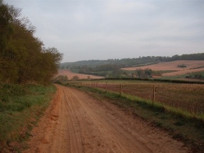 sandy track