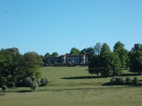 hinton ampner