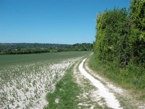 approaching winchester