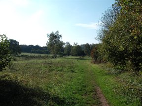 farley mount country park