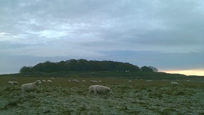 badbury ring