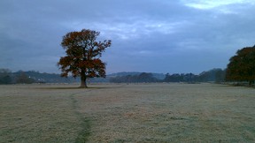 the stour valley