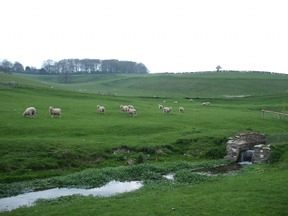 near lyscombe farm