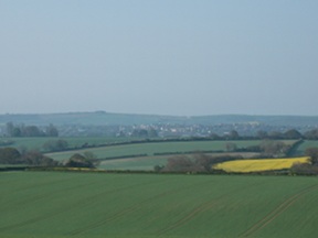 distant dorchester