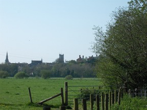 water meadows