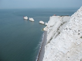 the needles