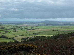 portland from black down