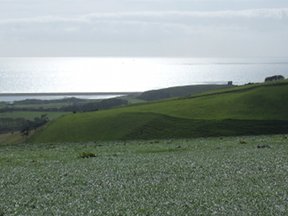 looking down on abbotsbury