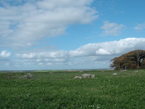 stone circle