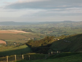 early morning on eggardon hill