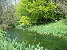 river frome