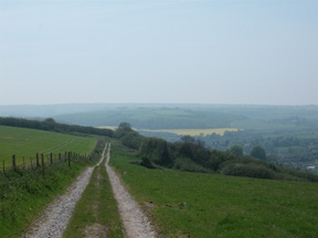 view back to maiden newton