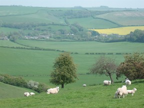 above sydling st nicholas