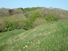 the dorsetshire gap