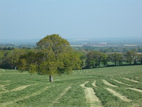 near melcombe park farm