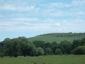 hambledon hill