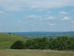 looking towards mere