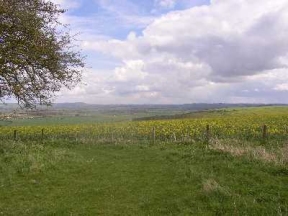 vale of pewsey