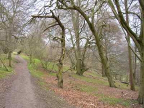 approaching tring