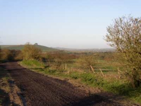 descending fox hill