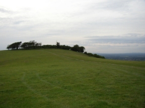 chanctonbury ring