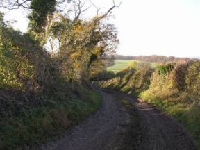 hampshire border