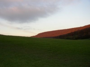 near butser hill