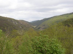 the teign gorge