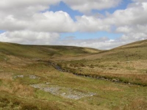 the heart of the moor