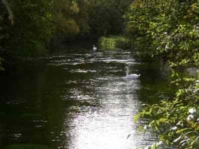 the river near wherwell