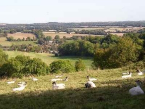 looking down on stoke