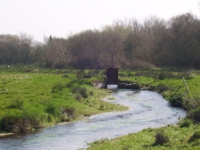 water meadows